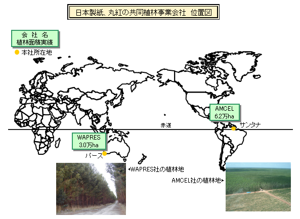 日本製紙、丸紅の共同植林事業会社　位置図