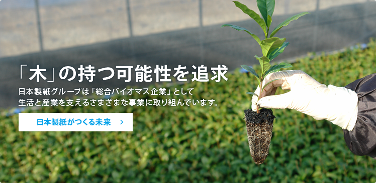 「木」の持つ可能性を追求　日本製紙グループは「総合バイオマス企業」として生活と産業を支えるさまざまな事業に取り組んでいます。　日本製紙がつくる未来