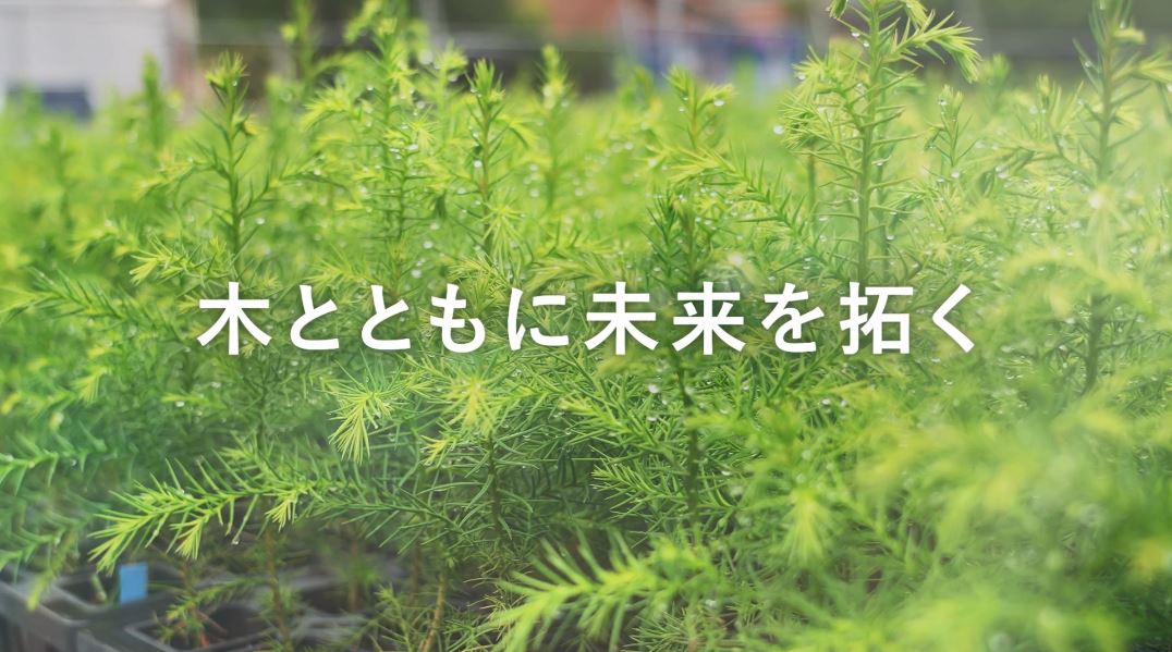 木のサラブレッド「エリートツリー」