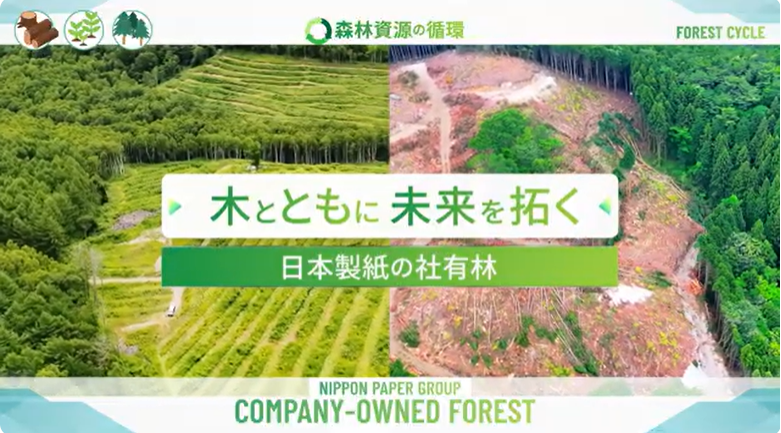 20260513木とともに未来を拓く～日本製紙の社有林～