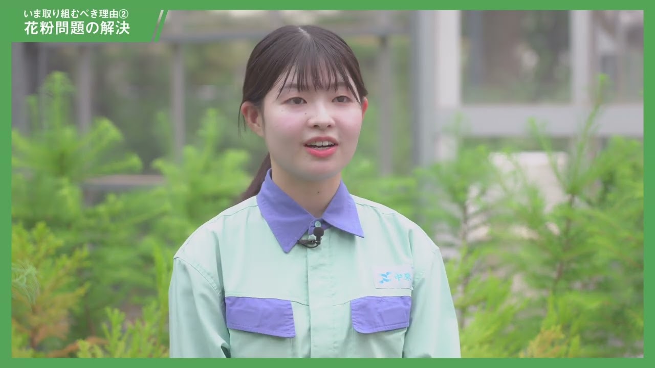 エリートツリー動画