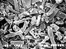 電子顕微鏡写真