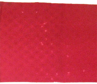 リグニンスルホン酸塩無添加