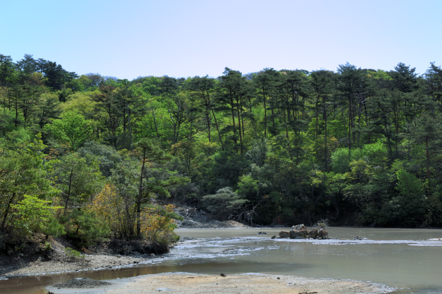 our_forest_kagoshima