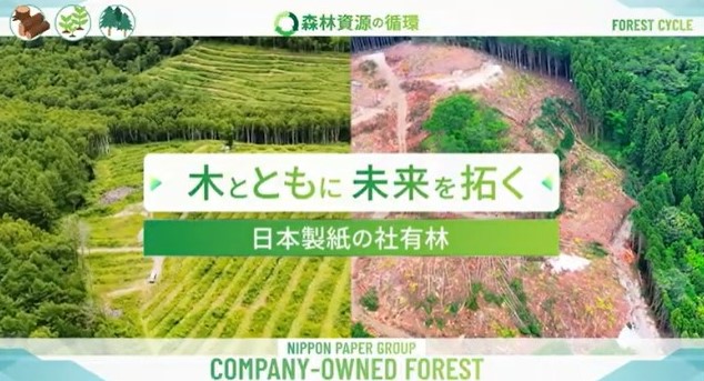 木とともに未来を拓く～日本製紙の社有林～