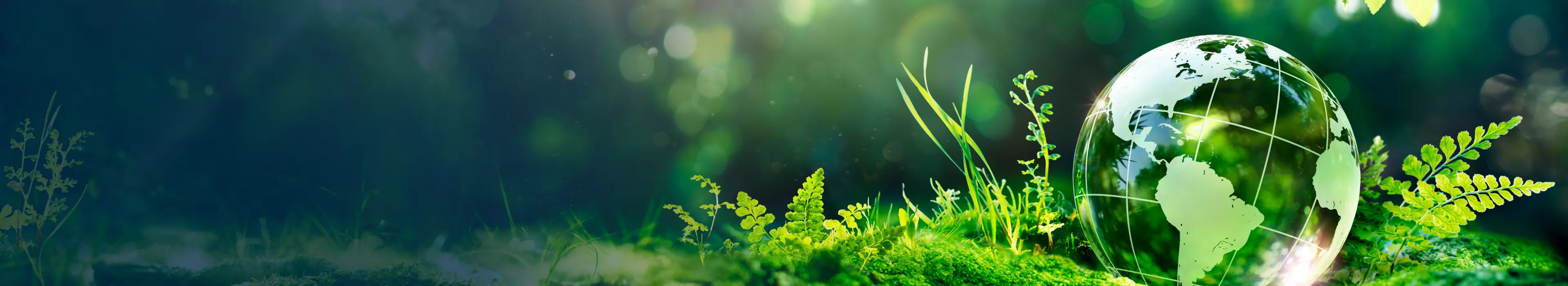 Sustainability
