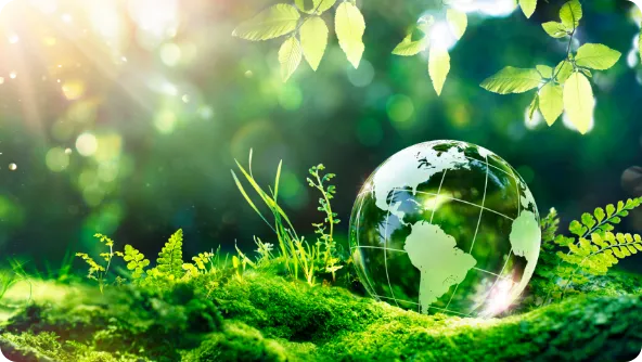 サステナビリティの取り組み