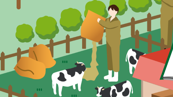 国産木材からつくる畜産向け飼料