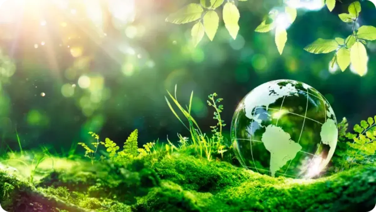 サステナビリティ