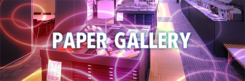 PAPER GALLERY