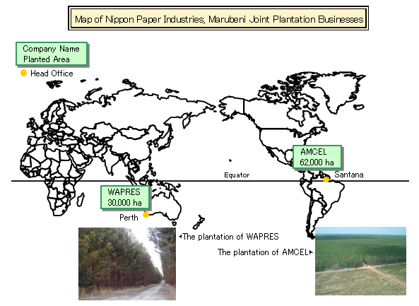 Map of Nippon Paper Industries, Marubeni Joint Plantation Businesses