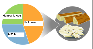 Reference: Lumber Constituents