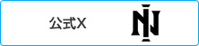 公式X