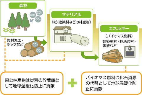 気候変動問題への取り組み 環境に関わる責任 日本製紙グループ 気候変動問題への取り組み 環境に関わる責任 日本製紙グループ