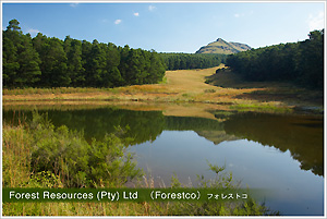 Forest Resources (Pty)Ltd (Forestco)フォレストコ
