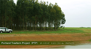 Portland Treefarm Project（PTP）ポートランド トゥリーファーム プロジェクト