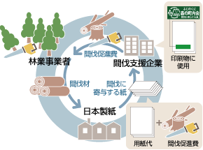 間伐作業(静岡県北山社有林)