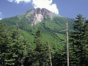 環境林分を有する菅沼社有林（日光白根山）