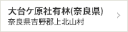 大台ケ原社有林（奈良県）　奈良県吉野郡上北山村