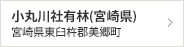 小丸川社有林（宮崎県）　宮崎県東臼杵郡美郷町