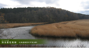 別当賀社有林‐北海道根室市字別当賀‐