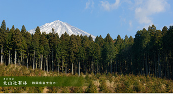 北山社有林‐静岡県富士宮市‐