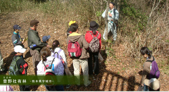 豊野社有林‐熊本県宇城市‐