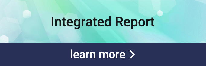 Integrated Report learn more