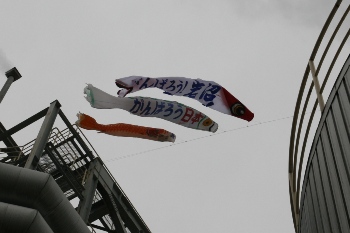 Carp streamers hoisted at the Iwanuma Mill