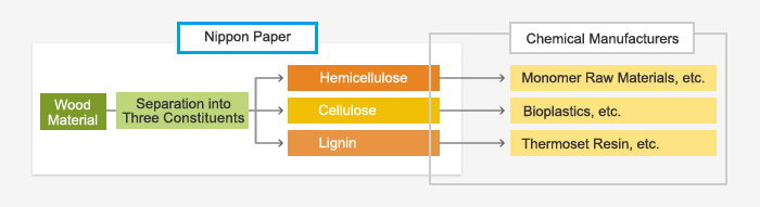 Manufacture of chemical products from wood