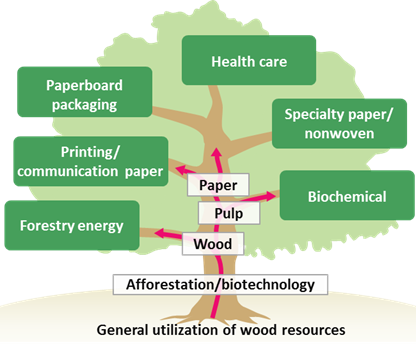 General utilization of wood resources