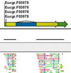 Gene expression analysis