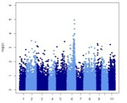 DNA information analysis