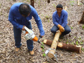 Taking samples for analysis