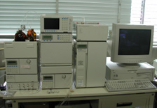 Plant hormone analysis in the rooting process