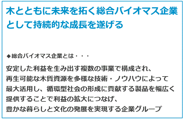 紙の加工技術と産業応用: ―持続可能な社会の構築を目指して― (新材料・新素材シリーズ) 2030ビジョン｜経営方針｜日本製紙グループ