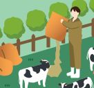 国産木材からつくる畜産向け飼料・農業用肥料