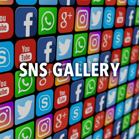 SNS GALLERY