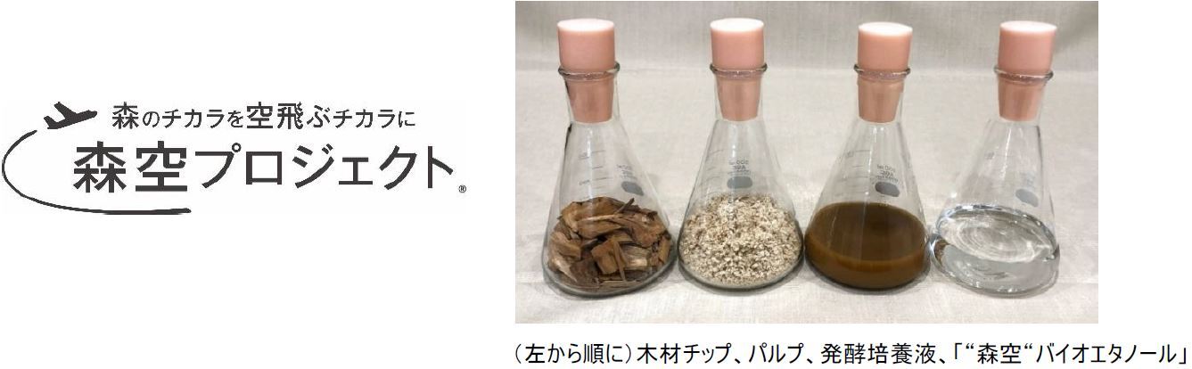 JAL、エアバス、日本製紙、住友商事、GEIが 国産木材由来の純国産SAF