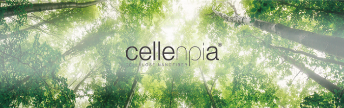 セルロースナノファイバー Cnf Cellenpia 製品情報 日本製紙グループ