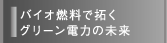 バイオ燃料で拓くグリーン電力の未来