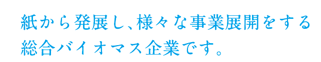 紙から発展し、様々な事業展開をする
総合バイオマス企業です。