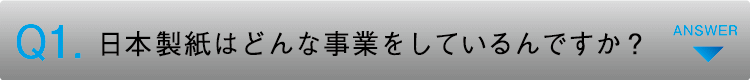 日本製紙はどんな事業をしているんですか？