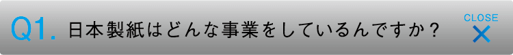 日本製紙はどんな事業をしているんですか？