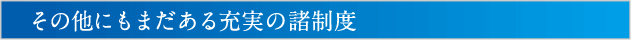 その他にもまだある充実の諸制度