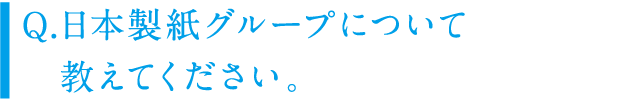 日本製紙グループについて教えてください。