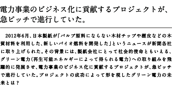 電力事業のビジネス化に貢献するプロジェクトが、急ピッチで進行していた。2012年6月、日本製紙が「パルプ原料にならない木材チップや樹皮などの木質材料を利用した、新しいバイオ燃料を開発した」というニュースが新聞各社に取り上げられた。その背景には、製紙会社にとって社会的使命ともいえる、グリーン電力（再生可能エネルギーによって得られる電力）への取り組みを飛躍的に発展させ、電力事業のビジネス化に貢献するプロジェクトが、急ピッチで進行していた。プロジェクトの成功によって形を現したグリーン電力の未来とは？