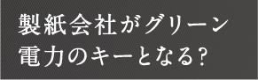 製紙会社がグリーン電力のキーとなる？