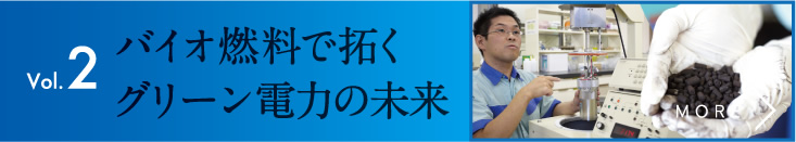 バイオ燃料で拓くグリーン電力の未来