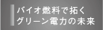 バイオ燃料で拓くグリーン電力の未来